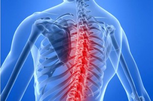 Musculoskeletal Disorders (MSD) – An Overview of Preventive Methods