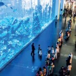 Dubai Mall Aquarium