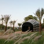 al-ain-oasis-2