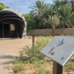 al-ain-oasis-5