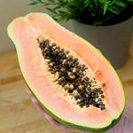 papaya