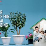 indoor-plants