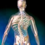 xray