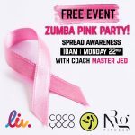 zumbapinkparty