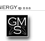 GMSynergy