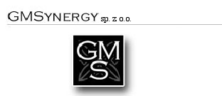 GMSynergy