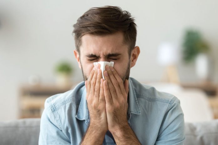Influenza strains